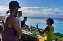 Moorea Cultural Safari Virtual Reality Opunohu Valley