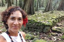 Moorea Cultural Safari Virtual Reality Opunohu Valley