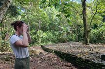 Moorea Cultural Safari Virtual Reality Opunohu Valley