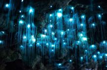 Hop on Hop Off Bus - Tamborine Mountain from Brisbane