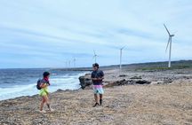 West Curaçao Off-Road ATV Expedition: Caves-Flamingos-Beach