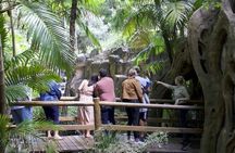Hop on Hop Off Bus - Tamborine Mountain from Brisbane