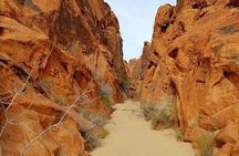 Guided Day Tour of Valley of Fire State Park in Las Vegas