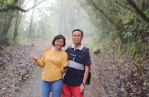 Package A Halfday Mossy Forest Private Tour