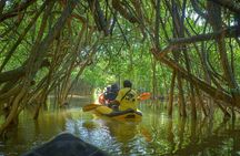 Little Amazon and Wat Khongkha Phimuk Half Day Tour from Khao Lak