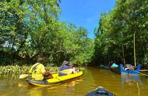 Little Amazon and Wat Khongkha Phimuk Half Day Tour from Khao Lak