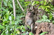 Little Amazon and Wat Khongkha Phimuk Half Day Tour from Khao Lak