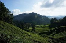 Cameron Highlands Fullday Discovery Package B Shared Tour
