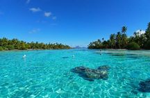 Unique Snorkeling and Art Tour Experience in Tahaa Raiatea 