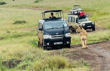 Amboseli Daytrip from Nairobi