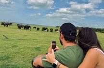 Sri Lanka 8 Days Classic Tour with or without Accommodations