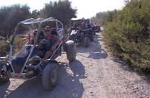Crete Buggy Safari with Cave Visit and Olive Oil Tasting