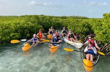 Turtle Cove Kayaking Experience Leeward