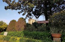 Catacombs of Saint Callixtus Ticket and Digital City Tour