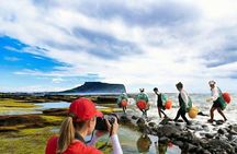 East Jeju Essentials – Seongsan Ilchulbong (UNESCO) & Haenyeo 