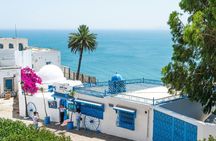 Private tour: Medina,Carthage ,Sidi Bou Said, Bardo Museum+lunch