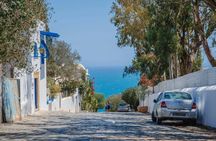 Private tour: Medina,Carthage ,Sidi Bou Said, Bardo Museum+lunch