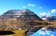 Seal Watching and Scenic Fjord Tour from Isafjordur Port