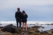 Seal Watching and Scenic Fjord Tour from Isafjordur Port