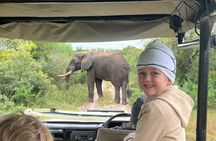 Hluhluwe Imfolozi Big 5 Safari Day Activity from Richards Bay