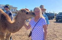 Tangier Half Day Tour Perfect for Cruise Travelers