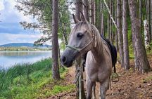 Sofia Horse riding and 1 night camping by lake Pchelina