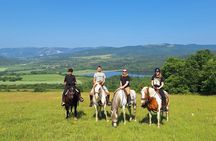 Sofia Horse riding and 1 night camping by lake Pchelina