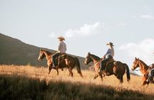 Guided Horseback Riding Adventure