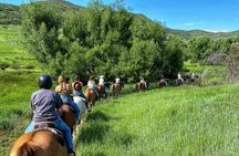 Guided Horseback Riding Adventure