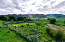 1 Hour Guided Horseback Riding Adventure