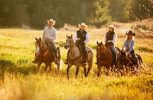 1 Hour Guided Horseback Riding Adventure