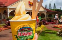 Oahu: Full-Day Circle Island Tour | Beach Stop, Free WiFi & Perks