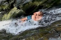 El Yunque Early Morning with Local Breakfast and Transportation