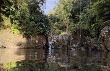 El Yunque Early Morning with Local Breakfast and Transportation