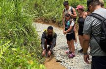 El Yunque Rainforest Like a Local: Waterfalls, Jumps & More