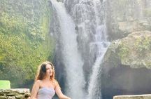 All-Inclusive Ubud Day Private Tour