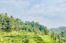 All-Inclusive Ubud Day Private Tour