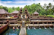 All-Inclusive Ubud Day Private Tour