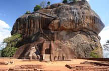 Sigiriya Day Trip from Colombo: Lion Rock, Dambulla Cave Temple