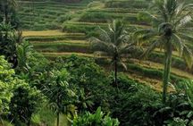 ‎All-Inclusive Ubud Melukat Tour: Holy Water Cleansing Experience