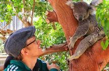 Blue Mountain Bus Tour & get digital koala photo Sydney Zoo