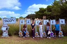 Jeju Trendy Café Tour with Snoopy Garden & Dotorisup