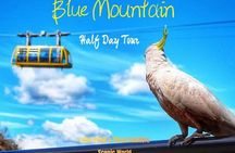 Sydney: Blue Mountains Half-Day Tour No Tipping English Guide