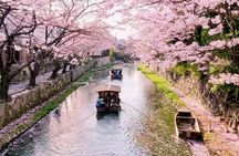 T8 Kyoto: Seasonal Cherry Blossoms & Omihachiman Canal Cruise