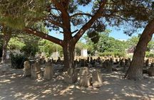 Private tour: Medina,Carthage ,Sidi Bou Said, Bardo Museum+lunch