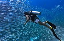 Racha Yai Scuba Diving and Snorkeling experience from Phuket