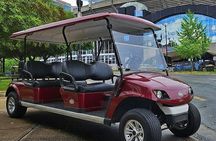 Charlotte's Southern Historical City Sightseeing Cart Tour 