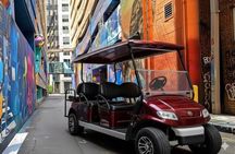 Charlotte's Southern Historical City Sightseeing Cart Tour 