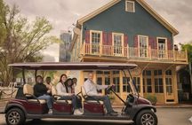 Charlotte's Southern Historical City Sightseeing Cart Tour 