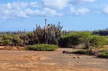 Curacao ATV-Safari West Tour: Caves-Flamingos-Beach